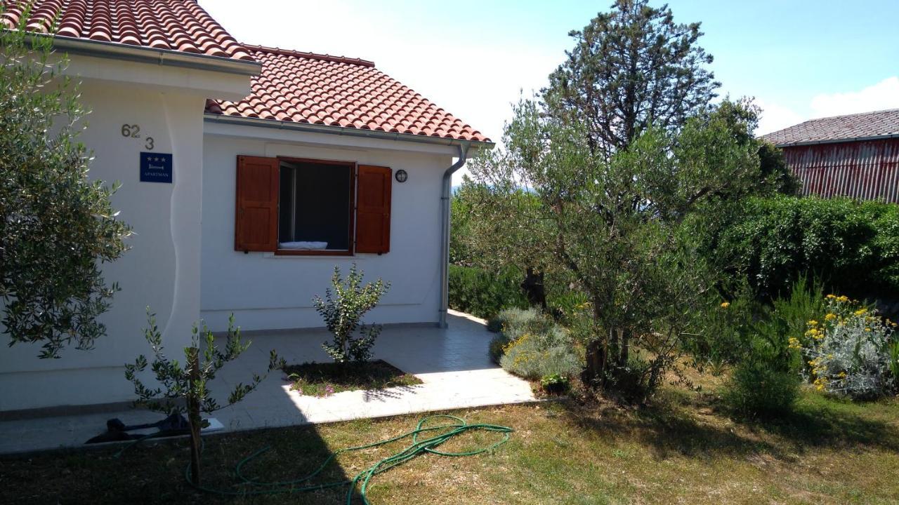 Apartman Ruza Brzac Extérieur photo
