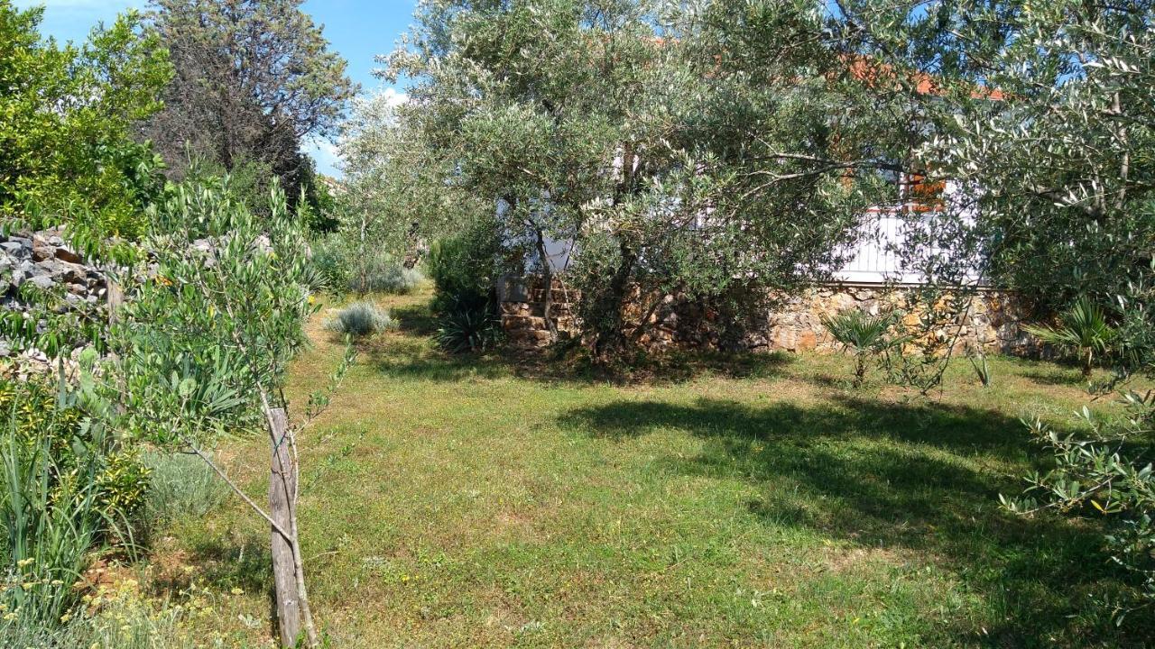Apartman Ruza Brzac Extérieur photo