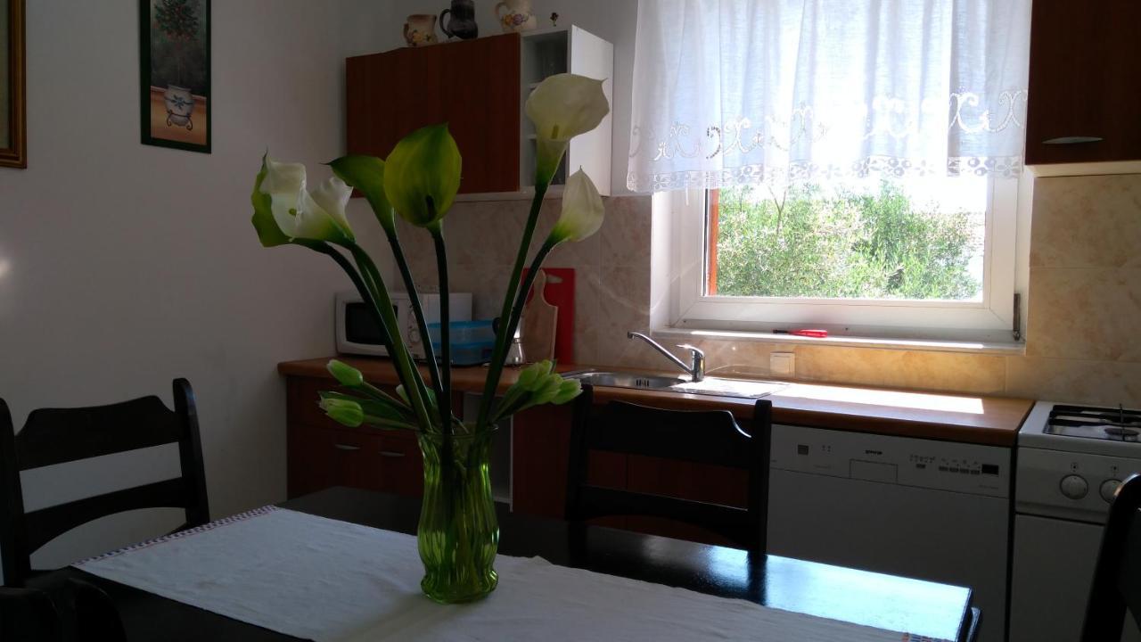 Apartman Ruza Brzac Extérieur photo