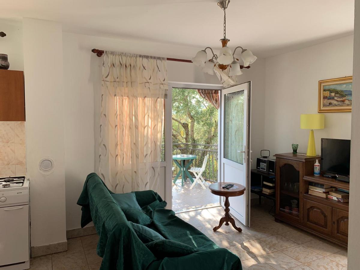 Apartman Ruza Brzac Extérieur photo
