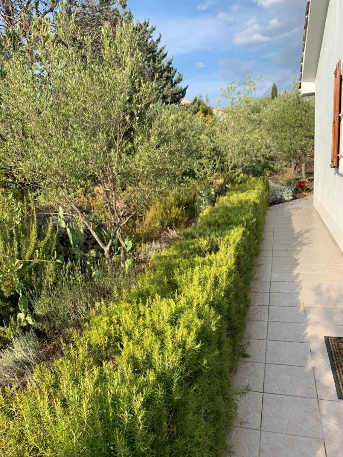Apartman Ruza Brzac Extérieur photo